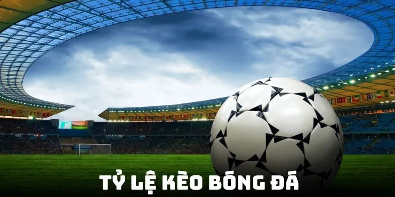 Tỷ Lệ Kèo Bóng Đá - Cách Đọc, Phân Tích Kèo Hiệu Quả